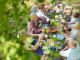 tischunterlage sommer